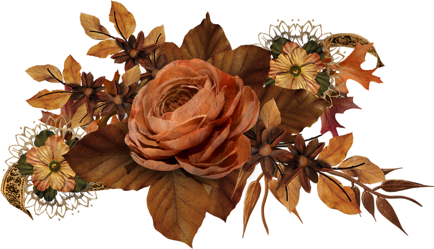 Dried Flowers Illustration 